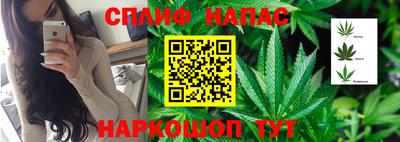 СК Балаково