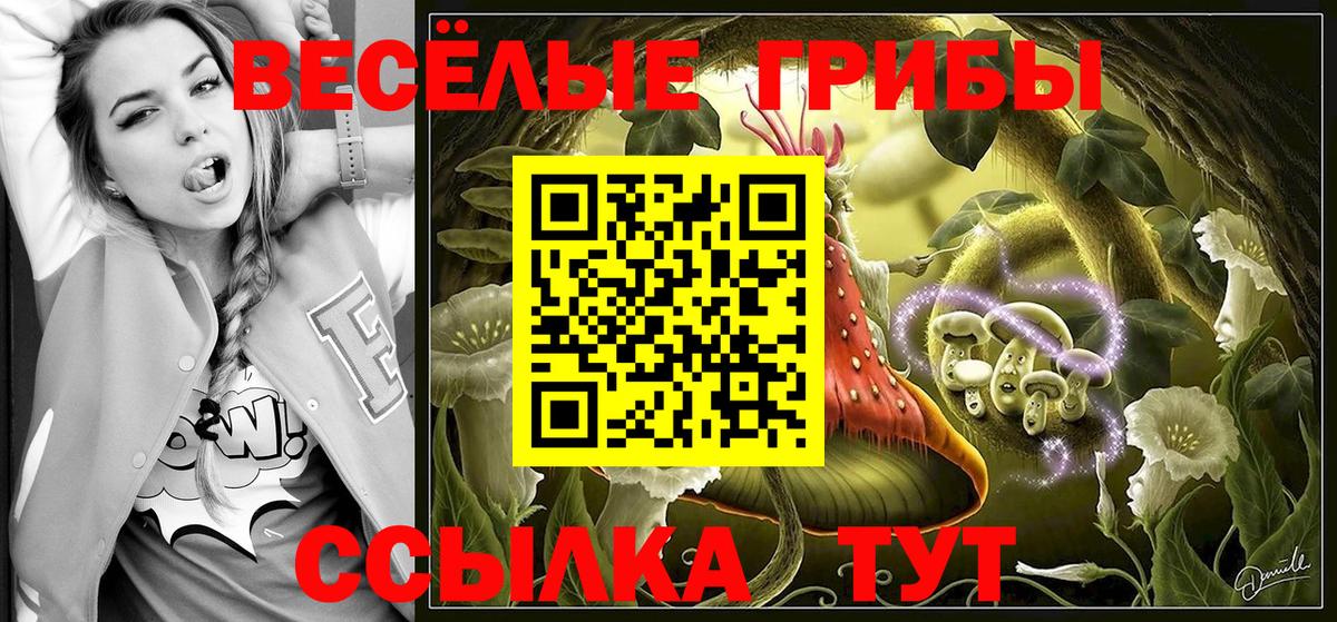 Галлюциногенные грибы GOLDEN TEACHER  Вход с VPN  Псилоцибиновые грибы прущие грибы  Костомукша 